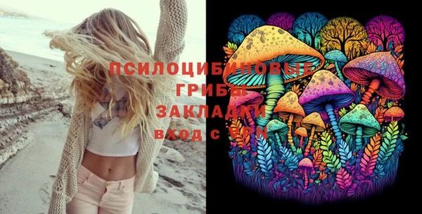 сатива Абинск