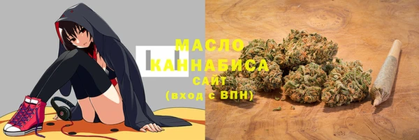 МДПВ Абаза