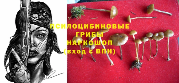 МДПВ Абаза