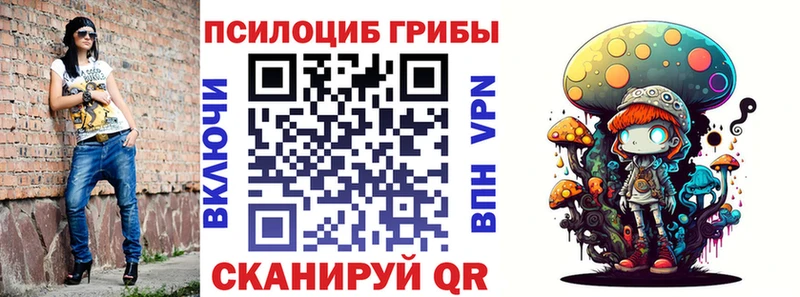 KRAKEN зеркало  Дальнереченск  Галлюциногенные грибы Magic Shrooms 